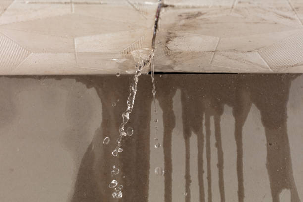 Professional Burst Pipe Cleanup technician working in Taylor, MS